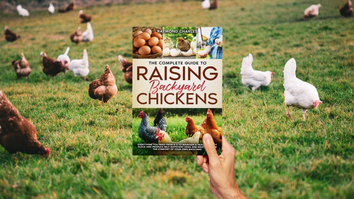 The Complete Guide to Raising backyard Chickens: Everything You Need from A-Z to Maintain a Healthy Happy Flock and Produce Self-sufficient Eggs and Meat All from the Comfort of Your Own Backyard