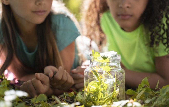 top Childrens Books About Green Living and Sustainable Development