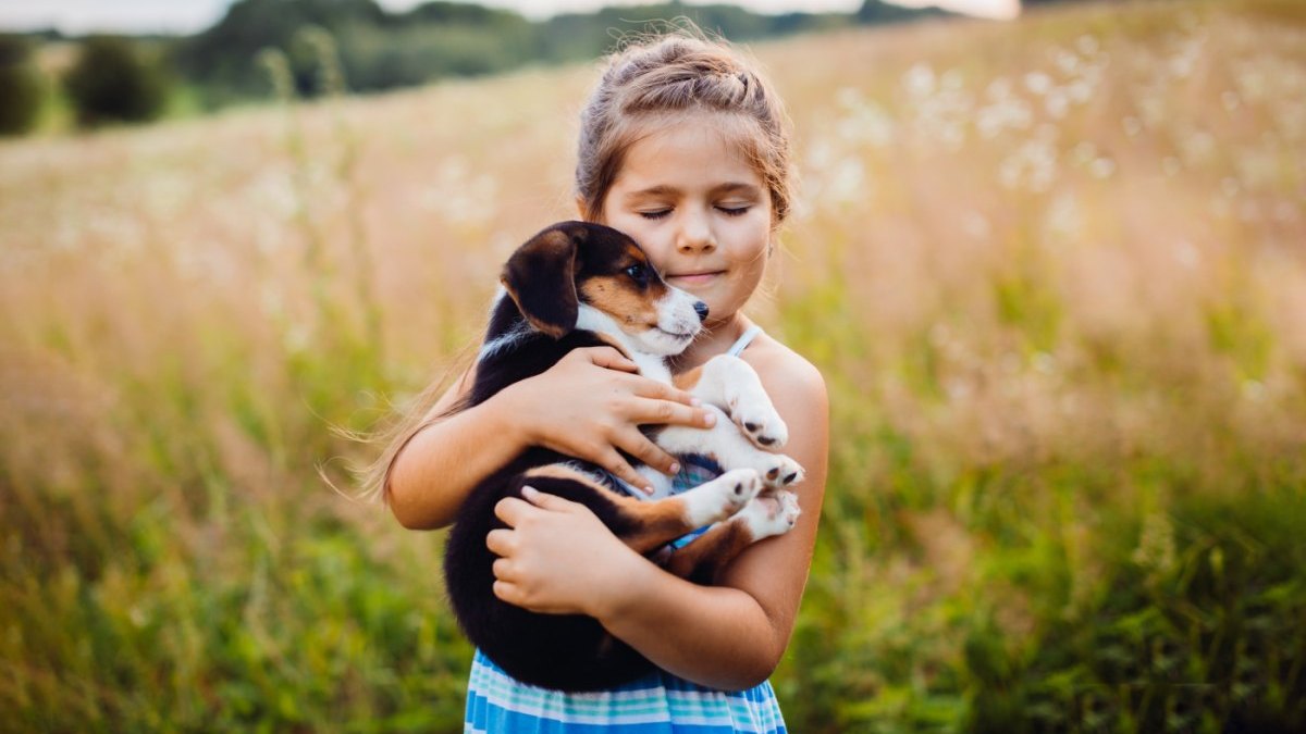 best Books on Pet Adoption for Kids